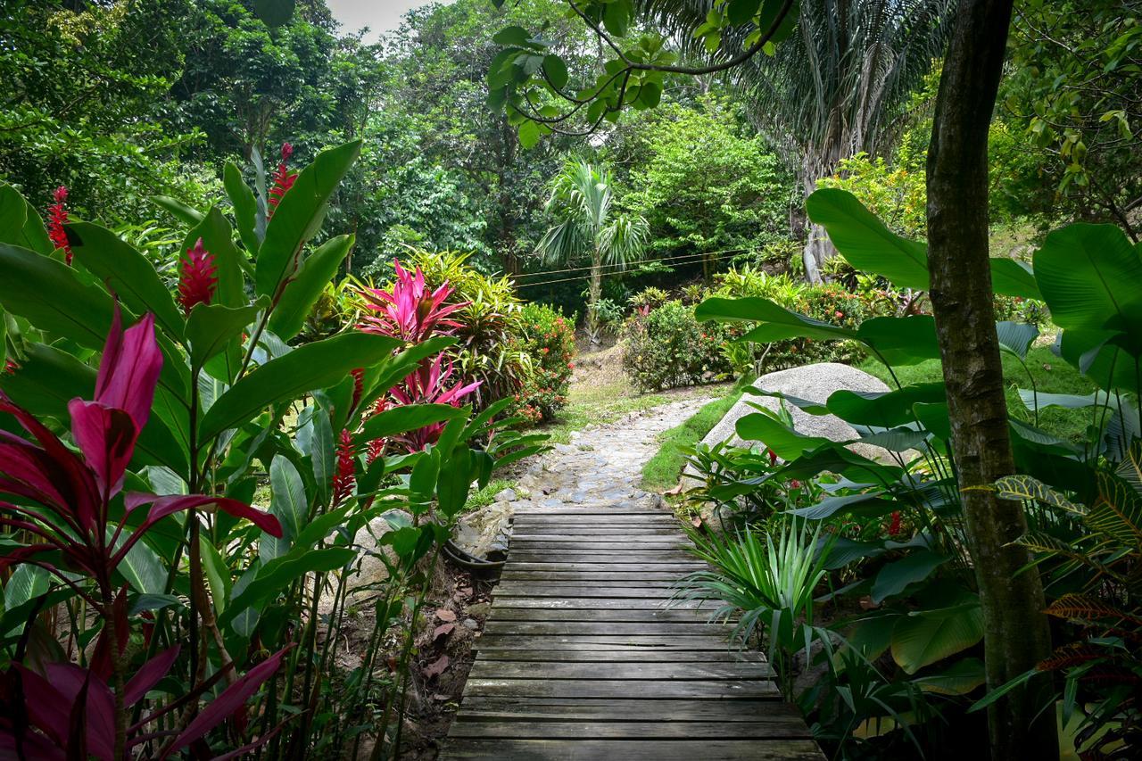 Ecohabs Bosques Del Tayrona Hotel Calabazo  Exterior photo